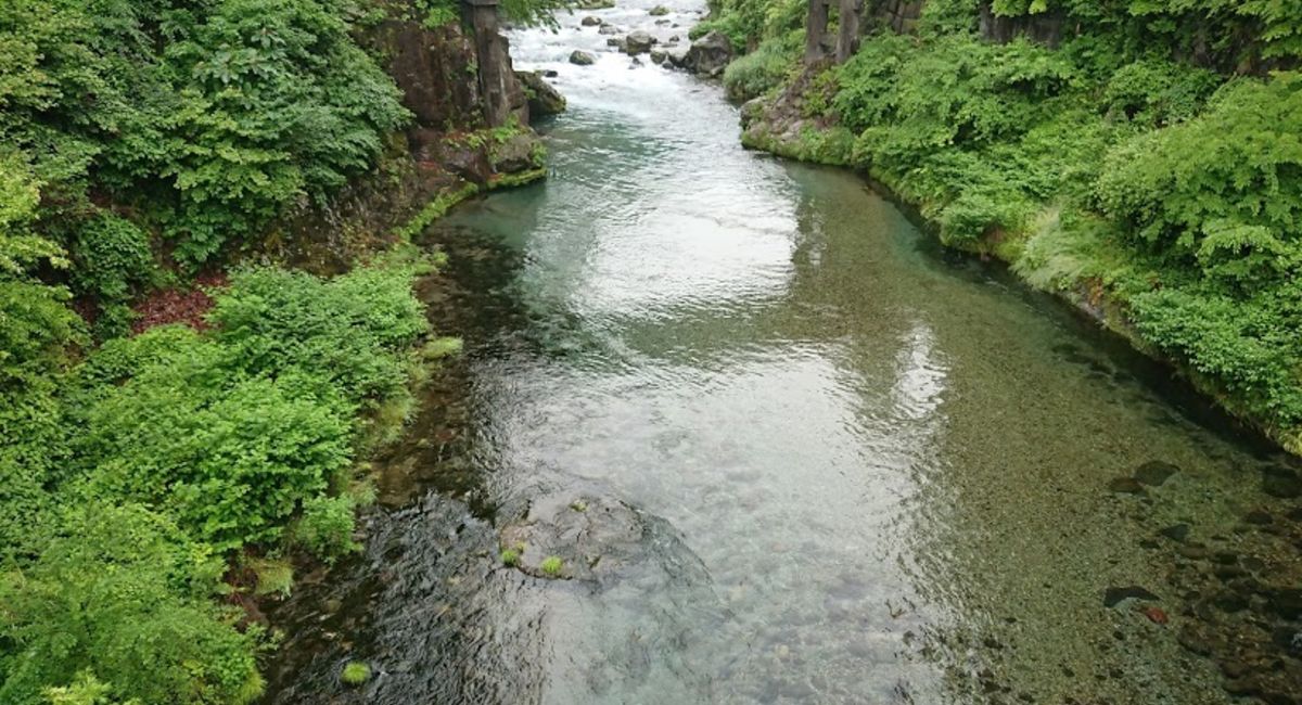 池袋駅西口の地鶏と鍋と日本酒の美味しいおすすめ居酒屋じどりーにょおじさん、日光東照宮の渡橋、神橋を観光