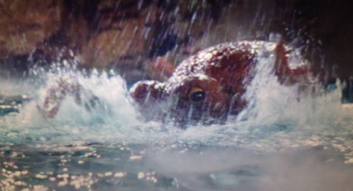 [じどおじブログ]グーニーズについて語る③　池袋駅西口の地鶏と鍋と日本酒の美味しいおすすめ九州料理居酒屋じどりーにょ