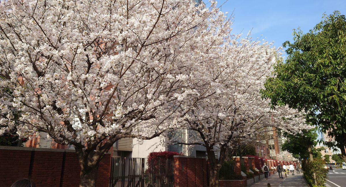 【最新投稿】池袋駅西口の地鶏と鍋と日本酒の美味しいおすすめ居酒屋じどりーにょ