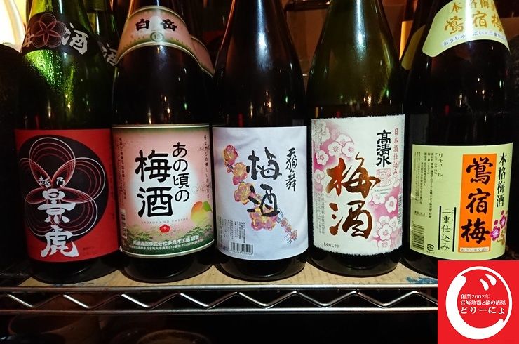 池袋駅西口の地鶏と鍋と日本酒のおすすめ美味しい居酒屋じどりーにょは梅酒もたくさん。水割り、ロック、ソーダ割り飲み方色々。