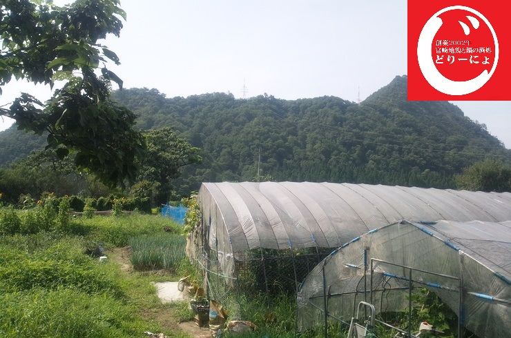 池袋駅西口の地鶏と鍋と日本酒のおすすめ美味しい居酒屋じどりーにょおじさんのお盆の過ごし方は？ご先祖様はお迎えしたの？７月と８月の違いは？