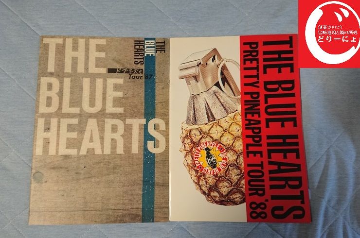 池袋駅西口の地鶏と鍋と日本酒の美味しいおすすめ居酒屋じどりーにょおじさんハイロウズ（HIGH-LOWS）を語る。その３