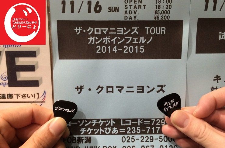 池袋駅西口の地鶏と鍋と日本酒の美味しいおすすめ居酒屋じどりーにょおじさんクロマニヨンズを語る。その２